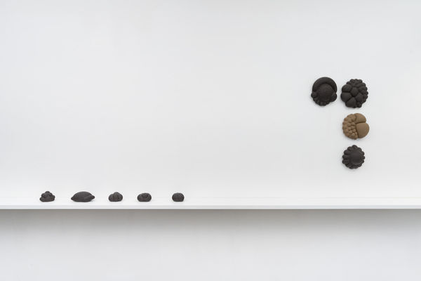 Iih 2400Px 20251008 0166