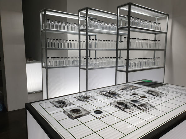 Moving The Green Ray 03