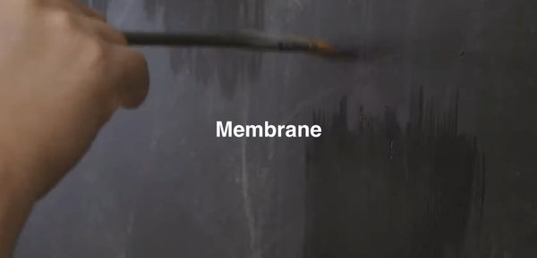 Membrane , Kyungsoo An