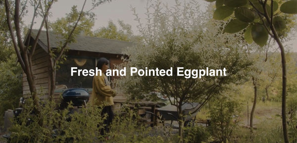 Fresh and Pointed Eggplant, Noh Seok Mee