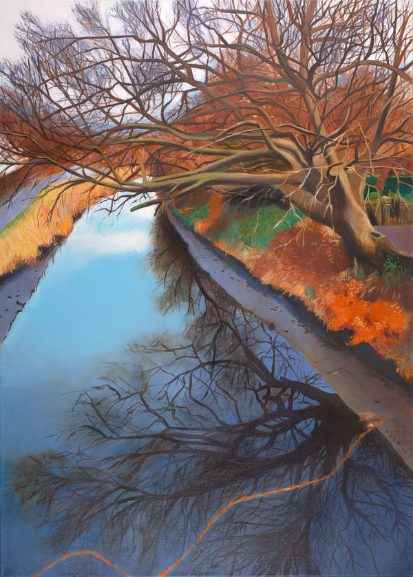 The Day they Drained the Canal - Union Canal, 2016