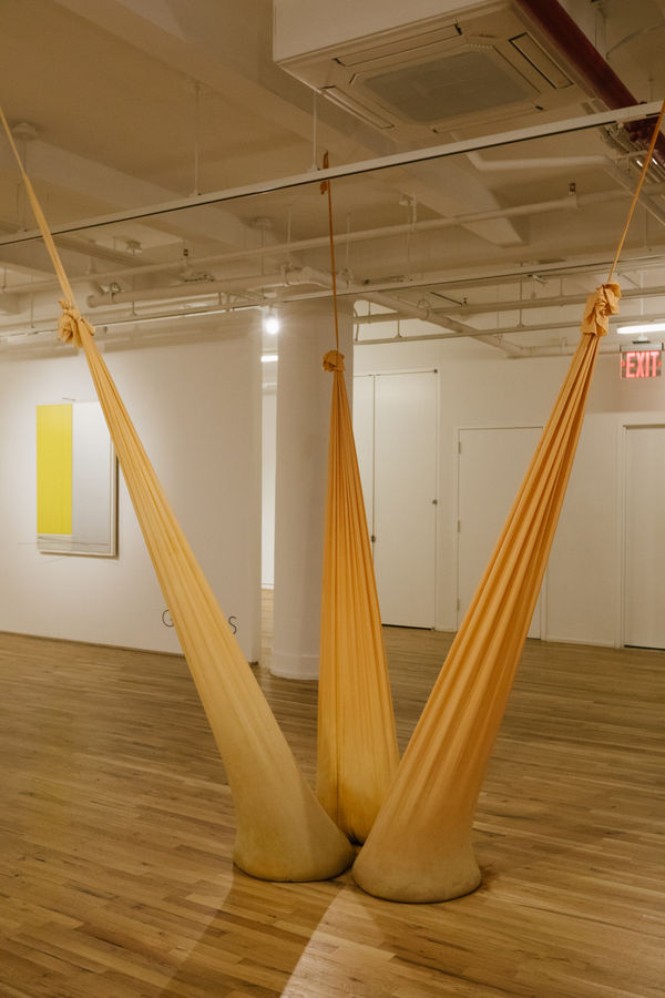 20161128 Leontovargallery 022