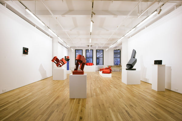 Edgar Negret: The Bridge