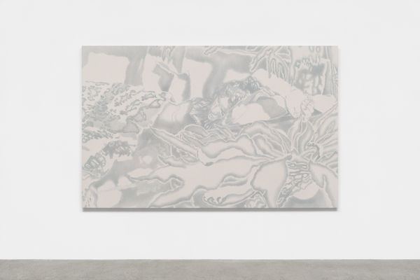 Taylor Lepidoptera At Night 2023 Installation Image Web