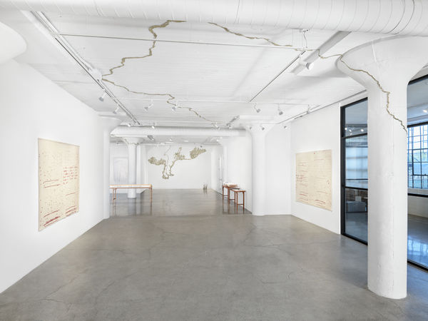 Bervin Souce Installation Image 1 John Janca Web