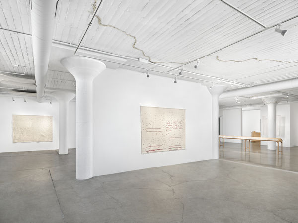 Bervin Souce Installation Image 2 John Janca Web