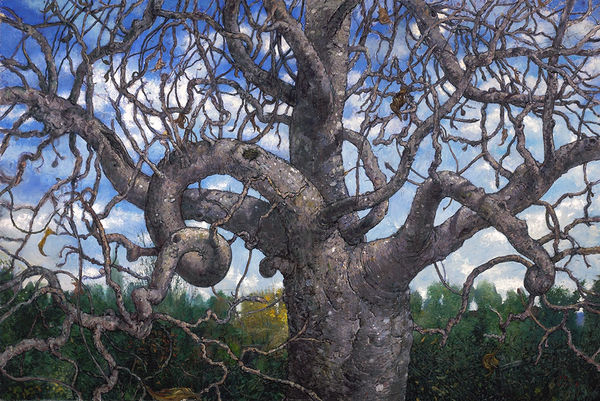 Chester Arnold, January, 2019