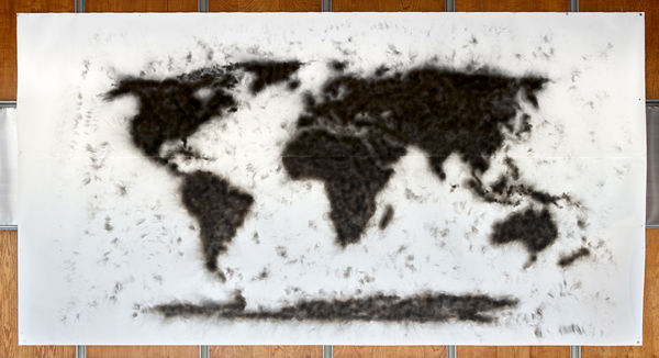 Nathan Chicheportiche Mircea Cantor 01 11 24 127