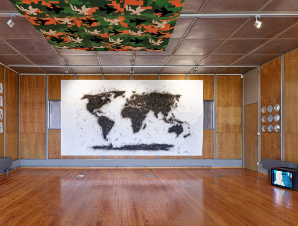 Nathan Chicheportiche Mircea Cantor 01 11 24 137