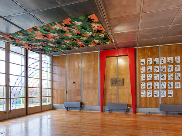 Nathan Chicheportiche Mircea Cantor 01 11 24 147