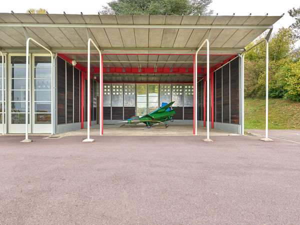 Nathan Chicheportiche Mircea Cantor 01 11 24 166