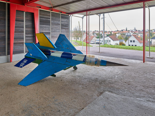 Nathan Chicheportiche Mircea Cantor 01 11 24 169