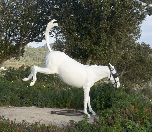 Menorca Experimental: Jardin D’essai By Adel Abdessemed