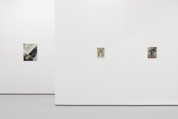 2024 The Pill Far From The Pictures Mireille Blanc 1