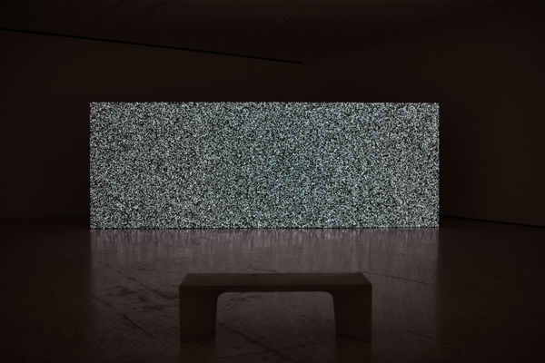Pablo Dávila | OTRXS MUNDXS, Museo Tamayo