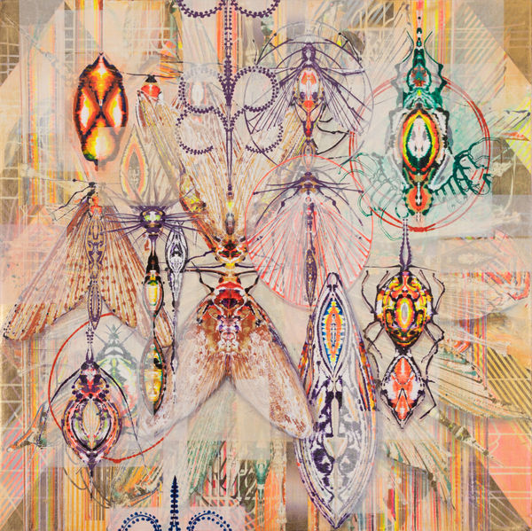 Susan Chrysler White Between Pattern and Pulse