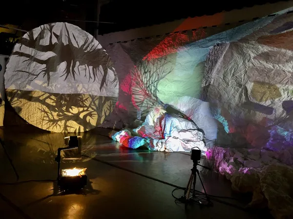 Facing West Shadows: In Praise of Shadows Pop Up Exhibition & Performance