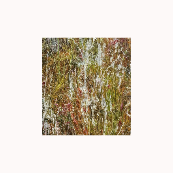 Lee Kwang-Ho, Wetland 습지