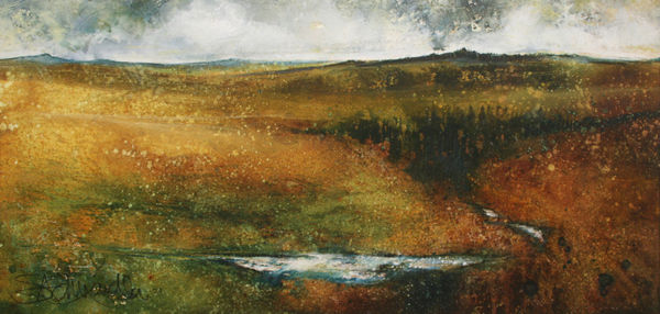 Stewart Edmondson, Moor