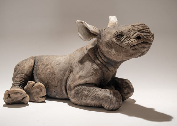 Nick Mackman, Black Rhino Baby