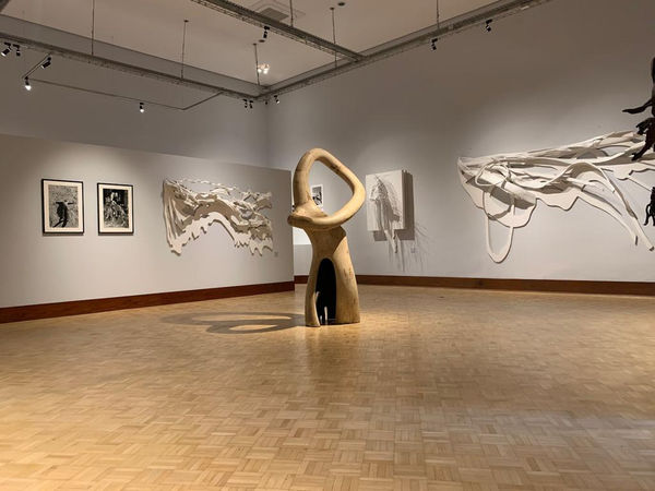 Frans Krajcberg (1921-2017) - "...ao acordar a natureza estava preta e branca"