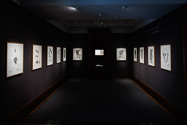 Flavio Shiró – 96 anos, presente Pinakotheke Cultural