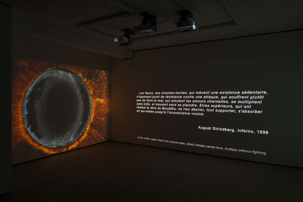 Tgood Wntrp Hberrada 15 09 2016 0062