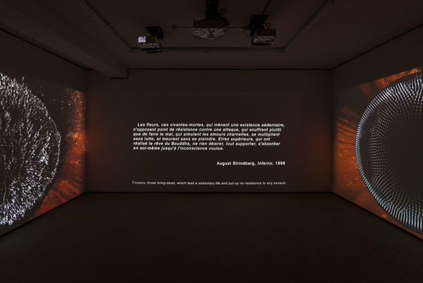 Tgood Wntrp Hberrada 15 09 2016 0107