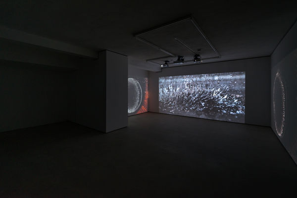 Tgood Wntrp Hberrada 15 09 2016 0113