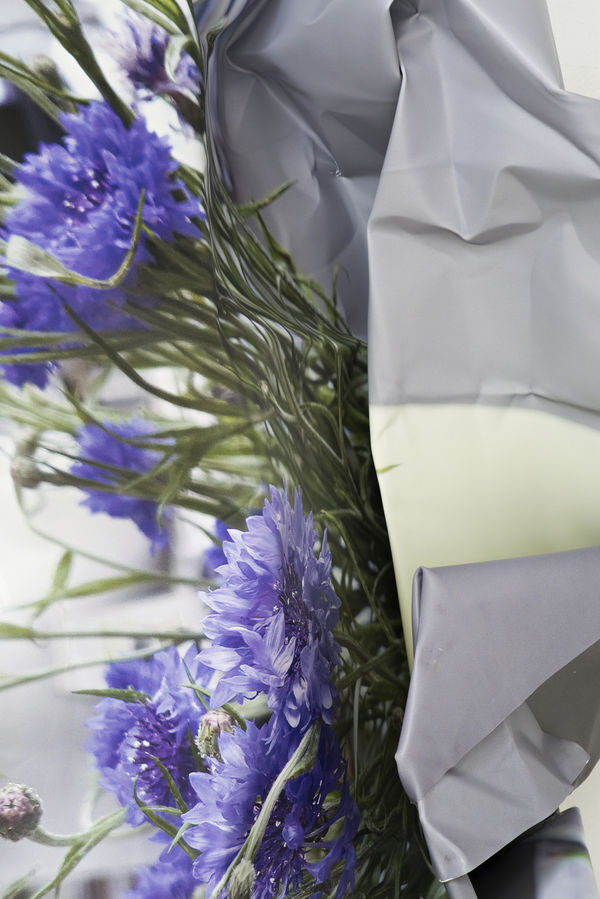 Om S 176D Leoniefelle