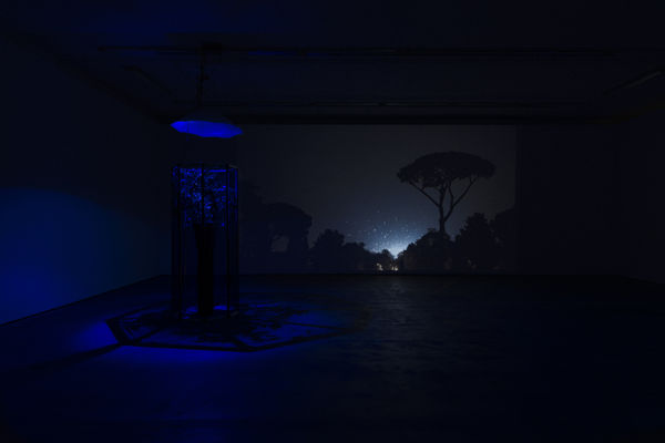 Hberrada Artdoc Wentrup29102015 0083 Edit