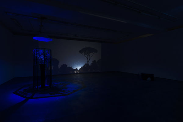 Hberrada Artdoc Wentrup29102015 0097 Edit