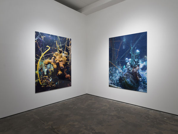 Hberrada Artdoc Wentrup29102015 0146