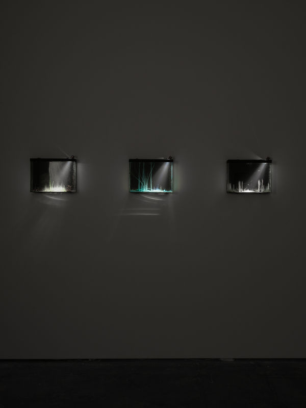 Tgood Wentrup Hberrada Fkiessling 24 10 2014 0088