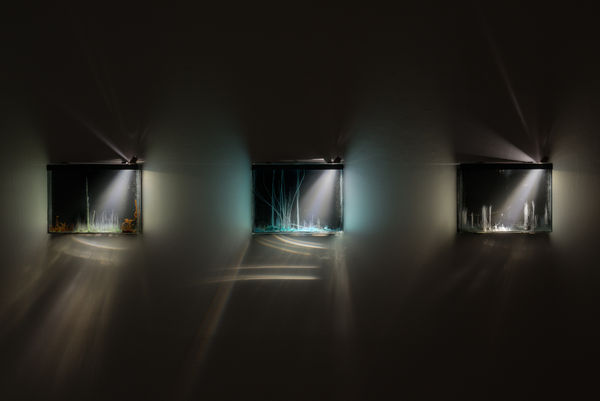 Tgood Wentrup Hberrada Fkiessling 24 10 2014 0110 Edit