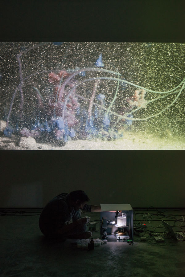 Tgood Wentrup Hberrada Fkiessling 24 10 2014 0134