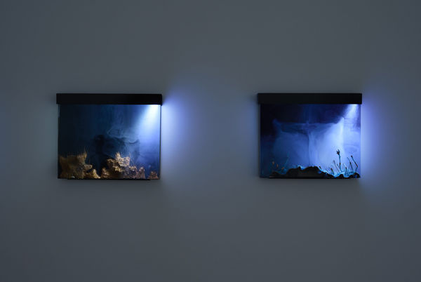 5 Hb2023 12 14 006 2000X