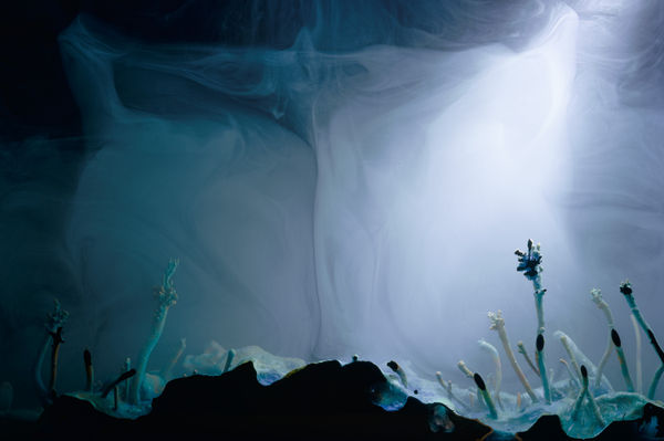 Hicham Berrada, Cartes Mères # 21, 2023