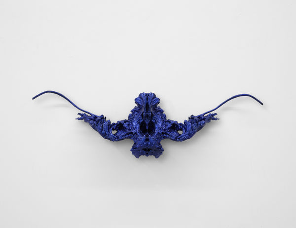 Hicham Berrada, Hygres #1, 2023