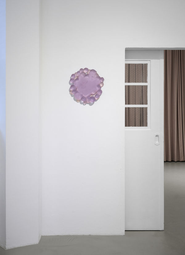 11 Mv2023 10 26 006 2000X