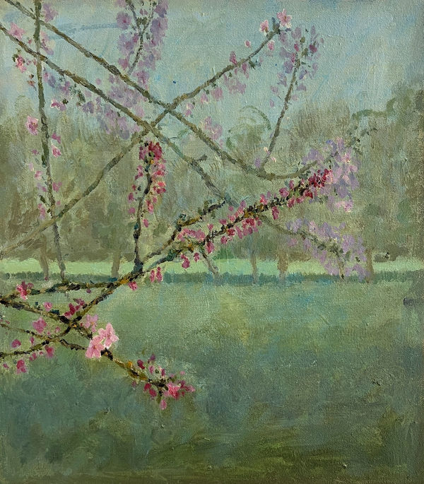 Sebastiain Espejo Cherry, Late Winter 2024-25 Oil on canvas 40.8x36cm