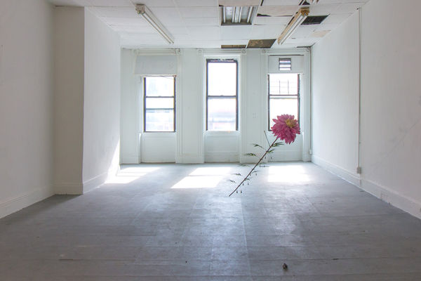 The Apotheosis of the Fish Market