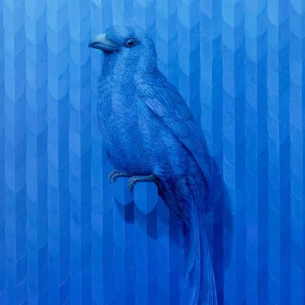 Clive Smith - Pattern Migration Bisected squares, Blues, Yellows, Reds, 2025