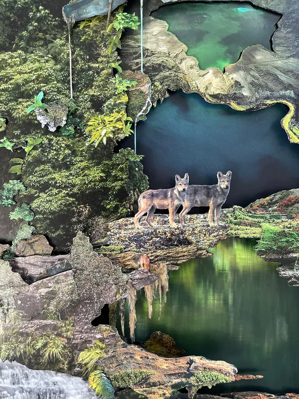 Chris Jones - School of the Flower, 2025