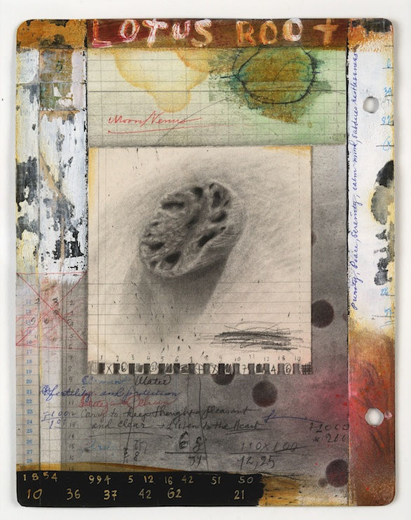 Renée Stout, Lotus Root, 2018