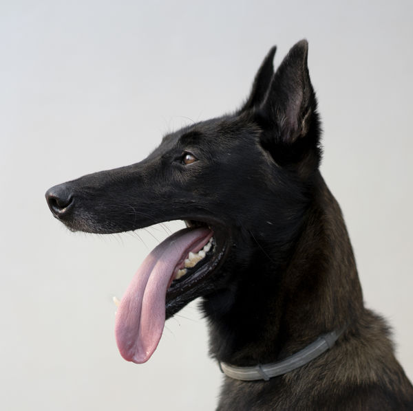 Paul Seawright RUA, Axel - Explosives Cambodia