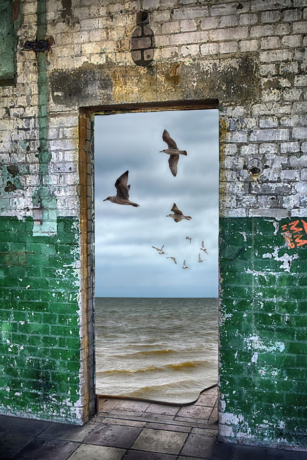 Jackie Hopfinger, I dreamed I could fly (I)