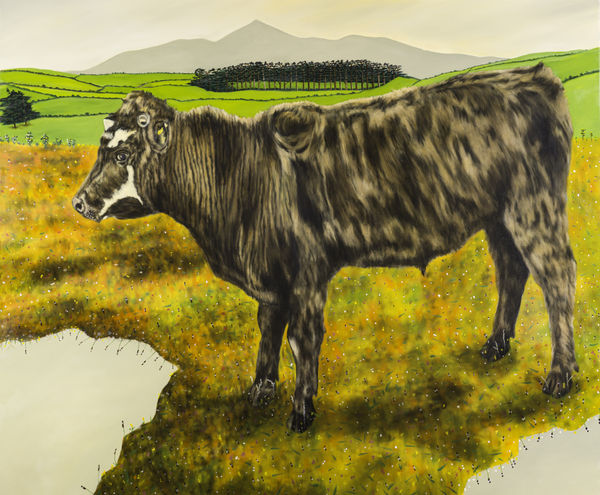 Dermot Seymour, So Far From Trumptaria?