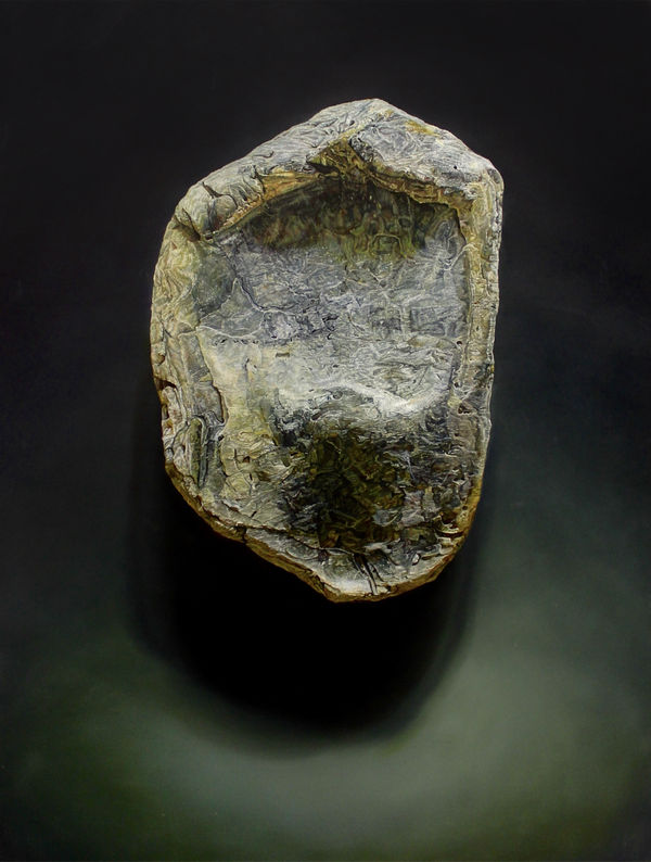 Daniel Nelis ARUA, Of Winter