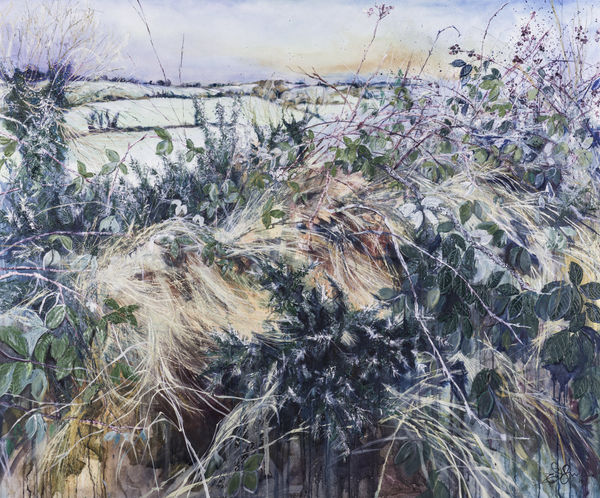 Emma Spence ARUA, You May Put Your Wellies On